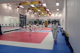 Image result for Awesome Martial Arts Training Center