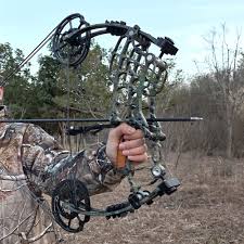 Image result for Clyde Arrows Archery Club