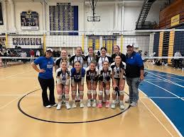 Image result for British Airways Volleyball Club