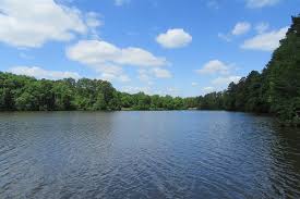 Image result for City Of Carlisle Sc