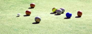 Image result for Lawns The Indoor Bowls Club