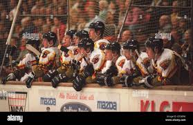 Image result for Basingstoke Bison Ice Hockey Club
