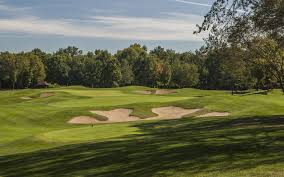 Image result for Fox Gc