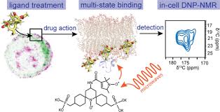「ロエン・ラーモア」の画像検索結果