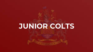 Image result for Newcastle (Staffs) Rufc Ltd