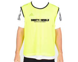 Image result for World of Shinty