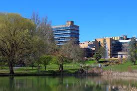 Image result for University Of Surrey