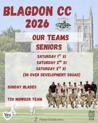 Image result for Buckhorn Weston Cricket Club