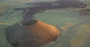 Attēlu rezultāti vaicājumam “Craterium sp.”