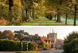 Image result for Bucklebury Cricket Club