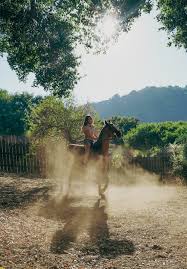 Image result for Old Park Riding Stables