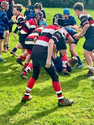 Image result for Frome Rugby Football Club