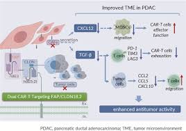 Image result for Cambridge N C I Cc