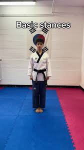 Image result for Hed Tkd (Dorking Tae Kwon-Do)