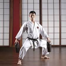 Image result for Ryusui-ryu Martial Arts School East Grinstead