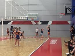Image result for Wakefield Phoenix Netball Club