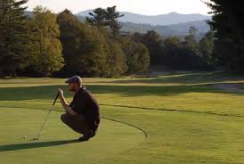 Image result for Wilton Golf Club