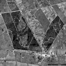 Attēlu rezultāti vaicājumam “Collaria rubens spores”