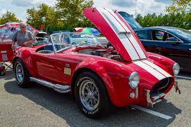 Image result for Nelson Cc