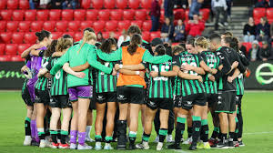 Image result for Melbourne United Football Club