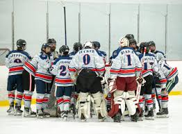 Image result for New Milton Hockey Club