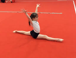 Image result for Stockport School Of Gymnastics