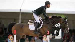 Image result for Scottish Equi Complex