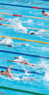 Image result for LEICESTER SYNCHRONIZED SWIMMING CLUB