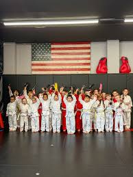 Image result for Bushido Academy Of Martial Arts (Bama)