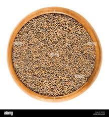 Attēlu rezultāti vaicājumam “Diplotaxis tenuifolia bud”