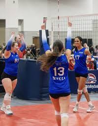 Image result for York University Volleyball Club