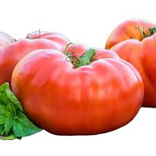 Afbeeldingsresultaat voor crnkovic yugoslavian tomato