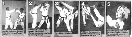 Image result for Tkd Self Defense