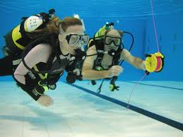 Image result for Calshot Sub-Aqua Club