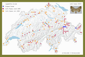 Attēlu rezultāti vaicājumam “Lygephila viciae”