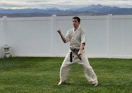 Image result for Sandokai Karate