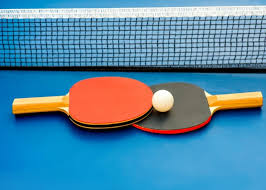 Image result for Dolphin Badminton Club