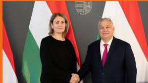 Image result for dúró dóra