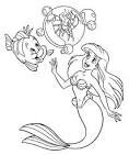 Clam coloring page