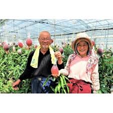 「アボカド大臣」の画像検索結果