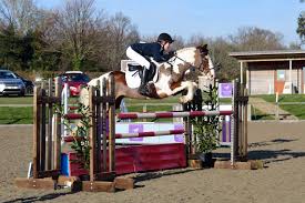 Image result for Chiddingfold Branch Of The Pony Club