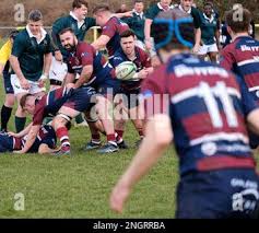 Image result for Widden Old Boys Rfc