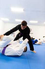 Image result for Ju Jitsu Tavistock