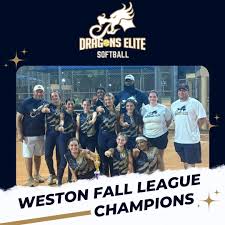 Image result for Dragons Softball Club
