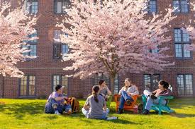 Image result for Blossom Way Sports & Social Club