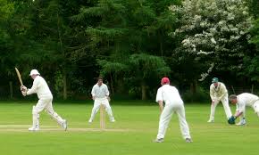 Image result for Hadlow Cricket Club