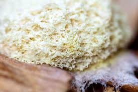 Attēlu rezultāti vaicājumam “Fuligo septica var. candida macro”