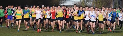 Image result for Orion Harriers Athletics Club