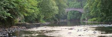 Image result for Annbank Angling Club