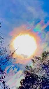 Attēlu rezultāti vaicājumam “pollen corona”